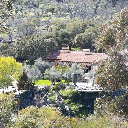 Penzion Lost Valley Marvão Exteriér fotografie